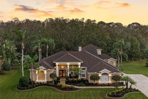 House in New Port Richey, Florida 4 bedrooms, 373.56 sq.m. № 1567917 - photo 1