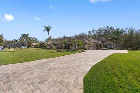 House in New Port Richey, Florida 4 bedrooms, 373.56 sq.m. № 1567917 - photo 6