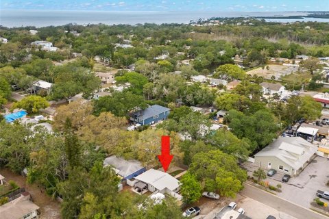 Villa ou maison à vendre à Palm Harbor, Floride: 3 chambres, 88.63 m2 № 1644049 - photo 29