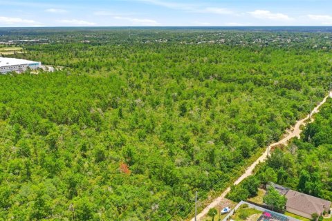 Land in Deltona, Florida № 2227928 - photo 6