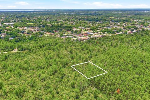 Land in Deltona, Florida № 2227928 - photo 21