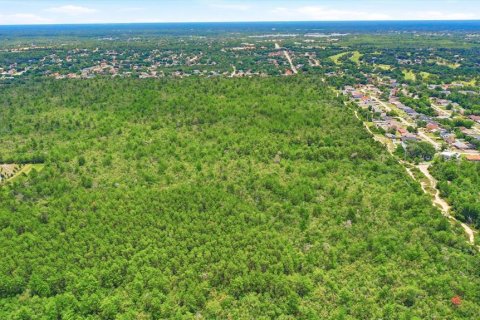Land in Deltona, Florida № 2227928 - photo 18