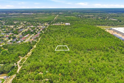 Land in Deltona, Florida № 2227928 - photo 11