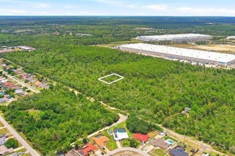 Land in Deltona, Florida № 2227928 - photo 9