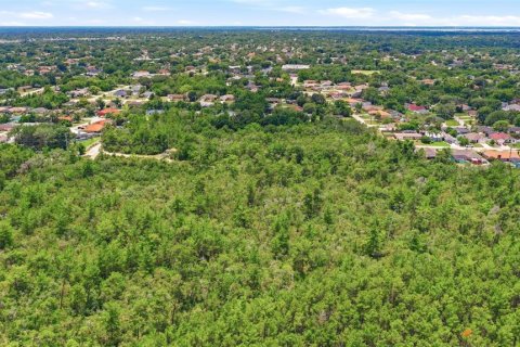 Land in Deltona, Florida № 2227928 - photo 22
