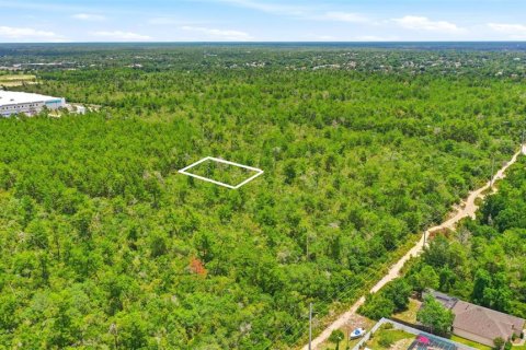 Land in Deltona, Florida № 2227928 - photo 7