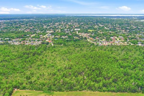 Land in Deltona, Florida № 2227928 - photo 12