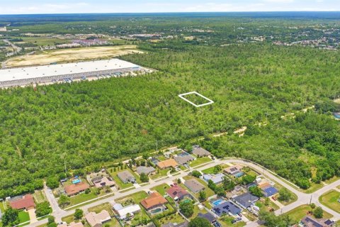 Land in Deltona, Florida № 2227928 - photo 5