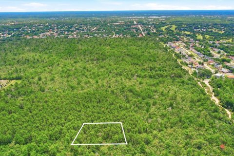 Land in Deltona, Florida № 2227928 - photo 19