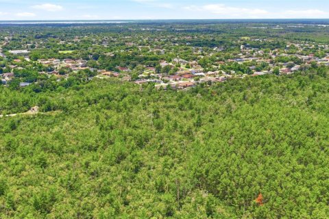 Land in Deltona, Florida № 2227928 - photo 20