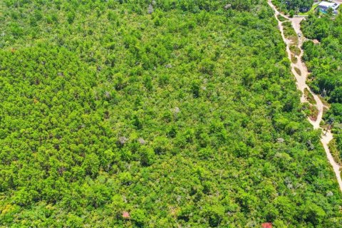 Land in Deltona, Florida № 2227928 - photo 24