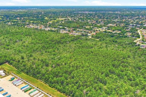 Land in Deltona, Florida № 2227928 - photo 16
