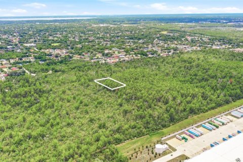 Land in Deltona, Florida № 2227928 - photo 15