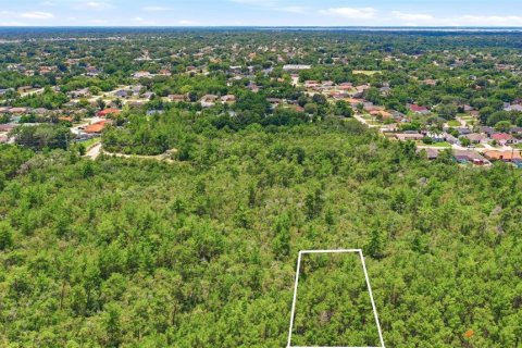 Land in Deltona, Florida № 2227928 - photo 23