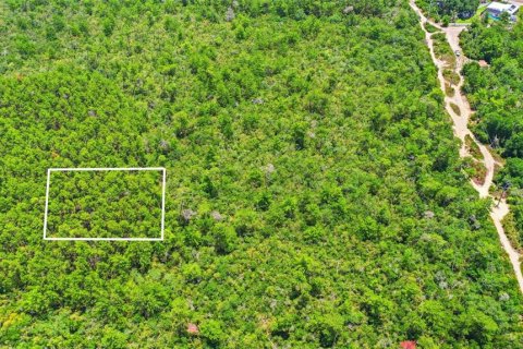 Land in Deltona, Florida № 2227928 - photo 25