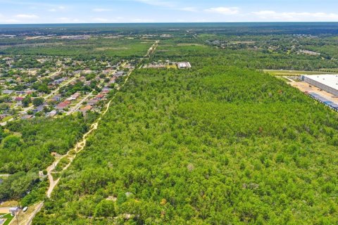 Land in Deltona, Florida № 2227928 - photo 10