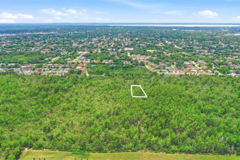 Land in Deltona, Florida № 2227928 - photo 13