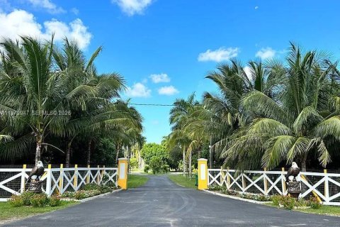 Земельный участок в Хомстед, Флорида № 2033103