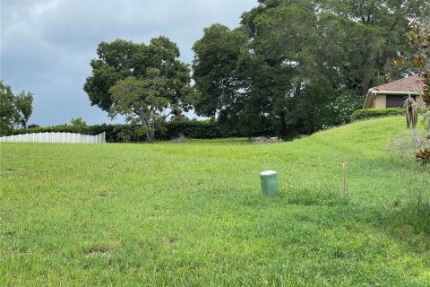 Terrain à vendre à Montverde, Floride № 1807430 - photo 2