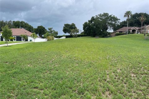 Terrain à vendre à Montverde, Floride № 1807430 - photo 1