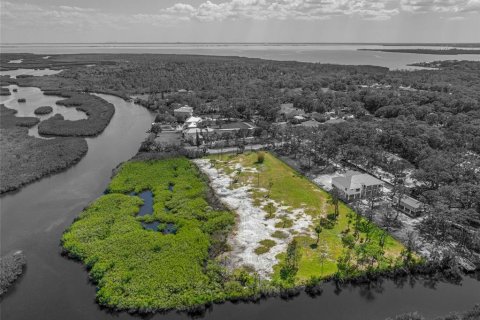 Land in Tampa, Florida № 1304492 - photo 6