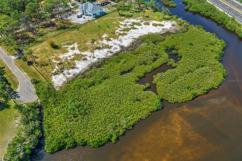 Land in Tampa, Florida № 1304492 - photo 28