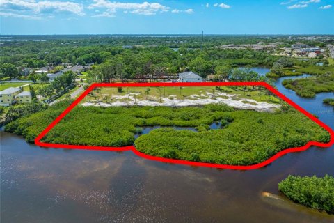 Land in Tampa, Florida № 1304492 - photo 25