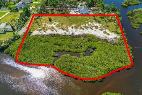 Land in Tampa, Florida № 1304492 - photo 15