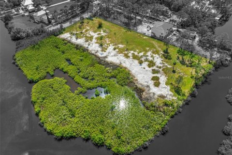 Land in Tampa, Florida № 1304492 - photo 2