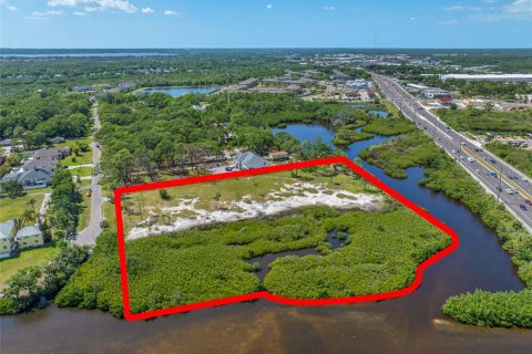 Land in Tampa, Florida № 1304492 - photo 12