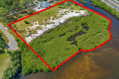Land in Tampa, Florida № 1304492 - photo 18