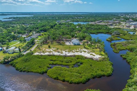 Land in Tampa, Florida № 1304492 - photo 26