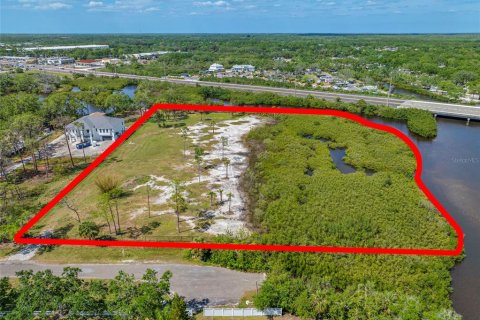 Land in Tampa, Florida № 1304492 - photo 23