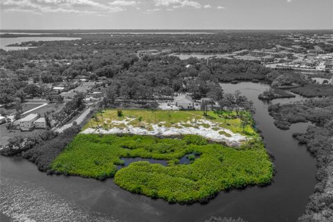 Land in Tampa, Florida № 1304492 - photo 8