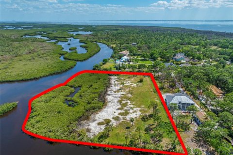 Land in Tampa, Florida № 1304492 - photo 4