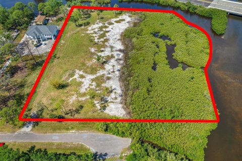 Land in Tampa, Florida № 1304492 - photo 17