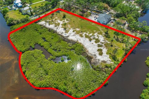 Land in Tampa, Florida № 1304492 - photo 19