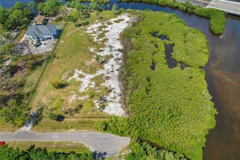 Land in Tampa, Florida № 1304492 - photo 27