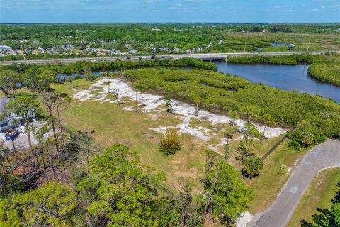 Land in Tampa, Florida № 1304492 - photo 30