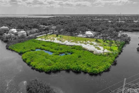 Land in Tampa, Florida № 1304492 - photo 7