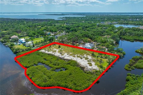 Land in Tampa, Florida № 1304492 - photo 5