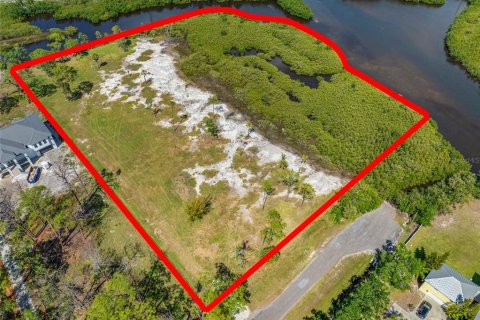 Land in Tampa, Florida № 1304492 - photo 14