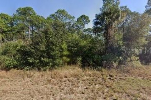 Terrain à LaBelle, Floride № 2158774