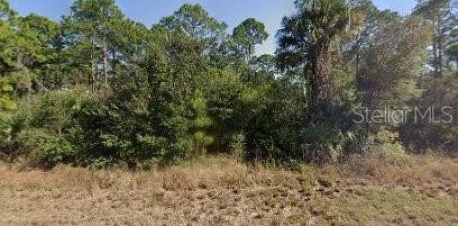Terrain à LaBelle, Floride № 2158774