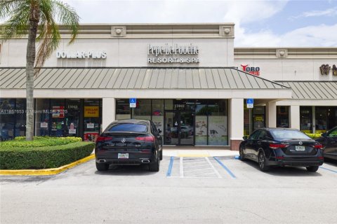 Commercial property in Kendall, Florida № 2076756