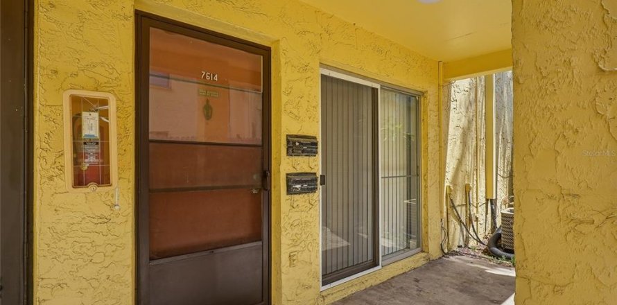 Condo in Tampa, Florida, 1 bedroom № 2202577