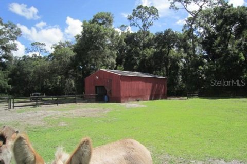 House in DeLand, Florida 4 bedrooms, 235.51 sq.m. № 1907552 - photo 16