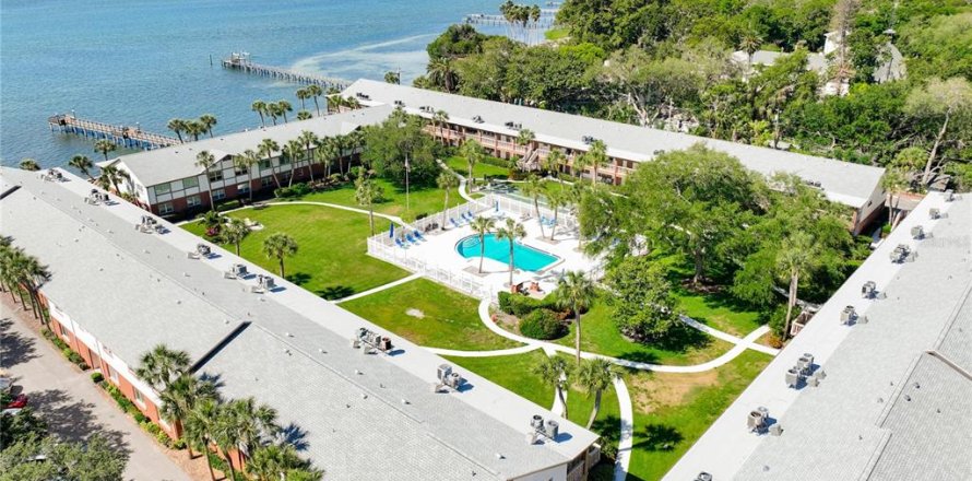 Condo in Saint Petersburg, Florida, 1 bedroom № 1528031