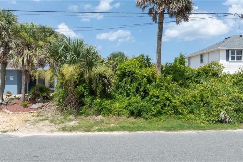 Land in Flagler Beach, Florida № 1780931 - photo 12