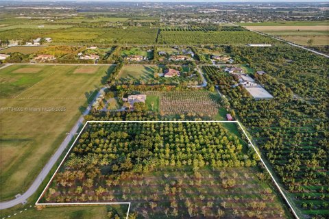 Commercial property in Homestead, Florida № 1811160 - photo 4